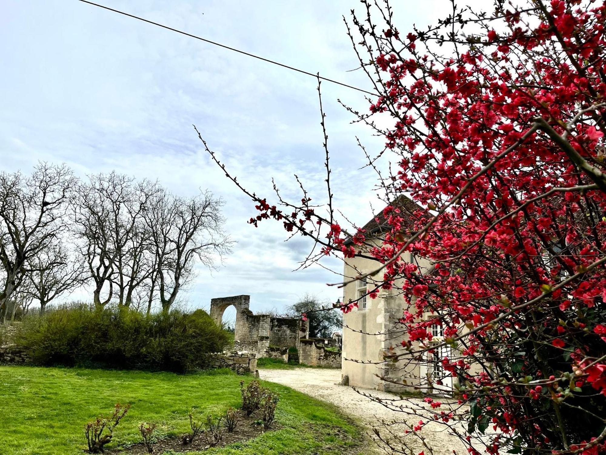 O2 Tours Bed and Breakfast Ourouer-les-Bourdelins Εξωτερικό φωτογραφία